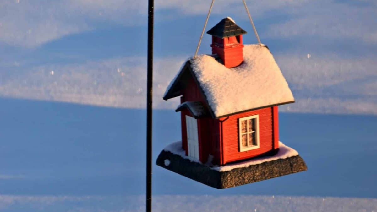 birdhouse in the snow