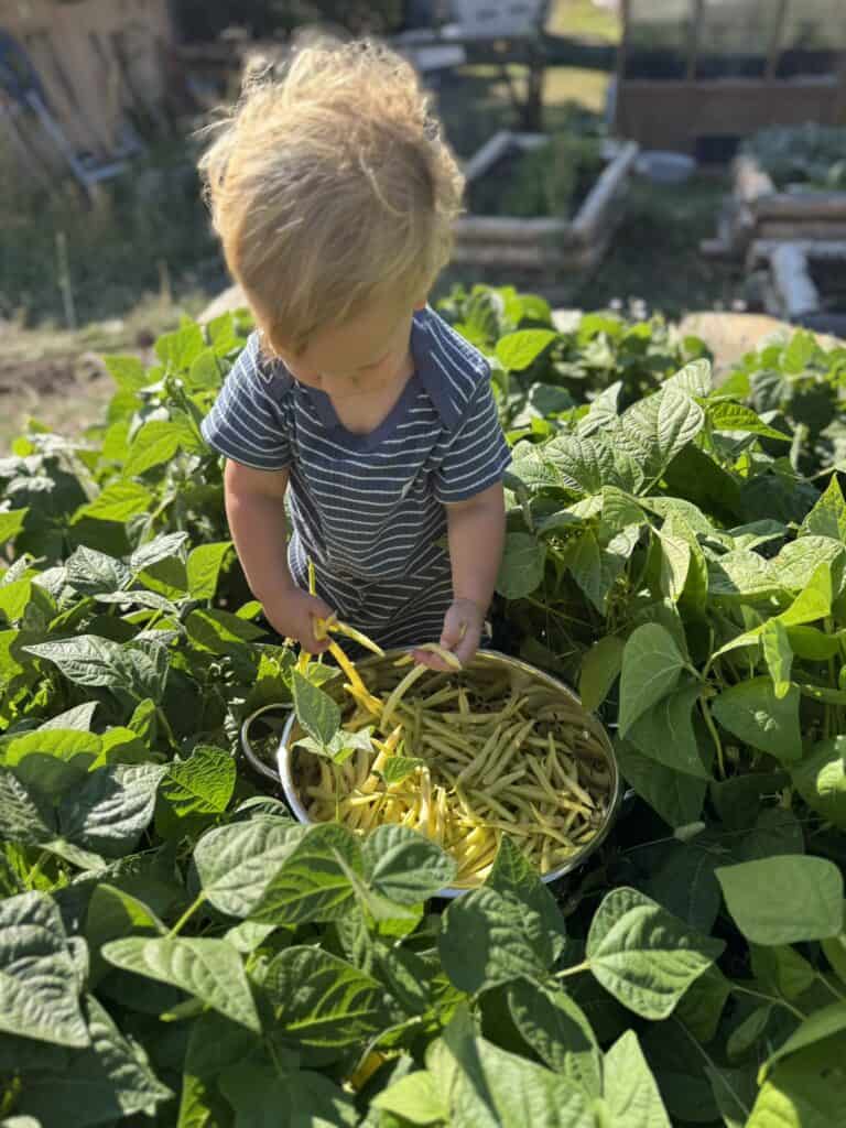A Week in the Life of an Off-Grid Mom: August 15–21, 2026